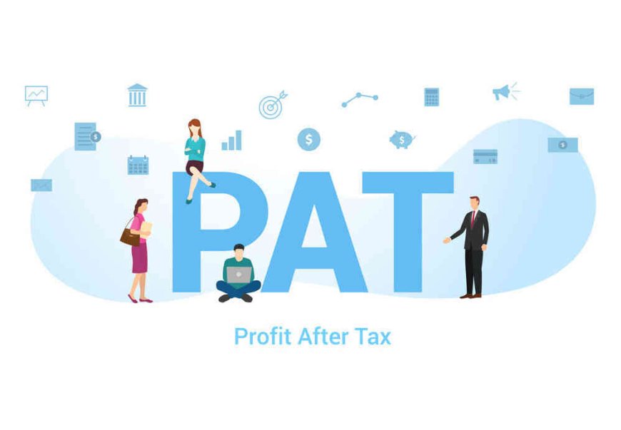 INTRODUCTION TO PAT (Profit After Tax) FOR KIDS AND ADULTS