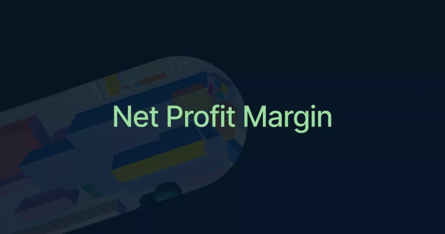 Introduction to Net Profit Margin for Kids & Adults