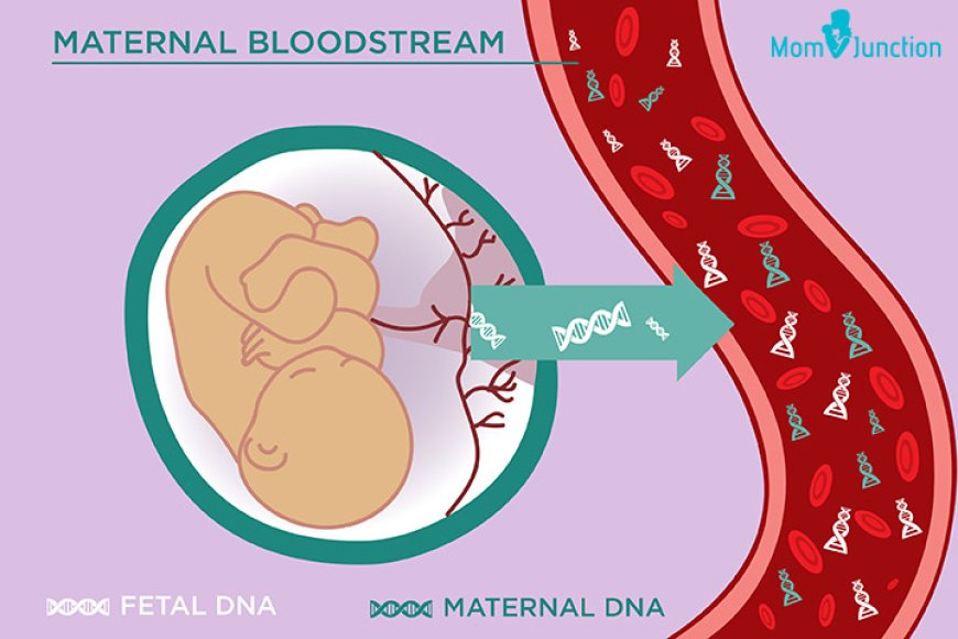 Birth Defects Testing