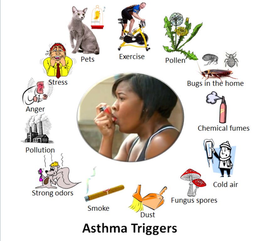 Identifying Asthma Triggers