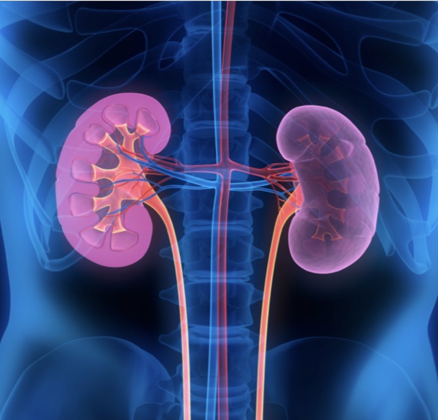 Kidney disease