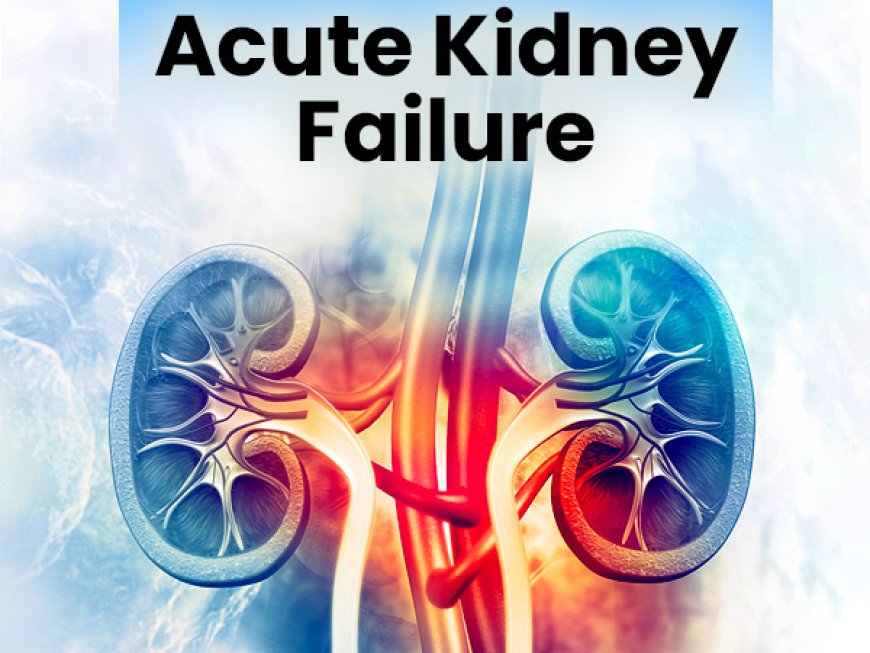 Kidney Failure, Acute