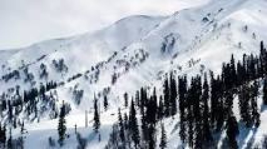 5-Day Solo Adventure Itinerary to Gulmarg for a Bachelor