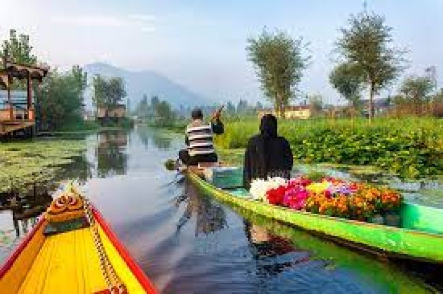 5-Day Romantic Getaway Itinerary to Srinagar for Couples