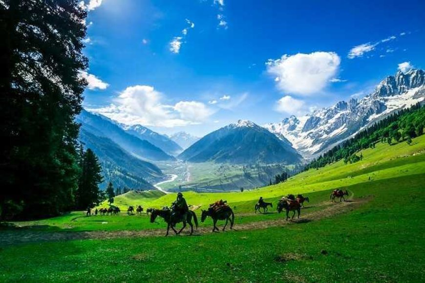 5-Day Romantic Getaway Itinerary to Sonamarg for Couples