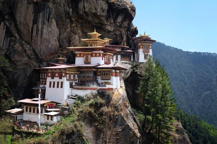 5-Day Solo Adventure in Thimphu for Bachelors