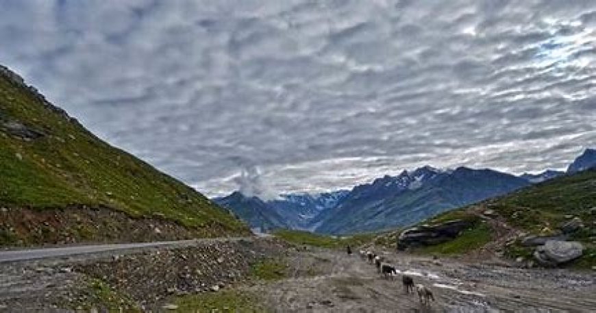 5-Day Solo Adventure Itinerary to Rohtang Pass for a Bachelor